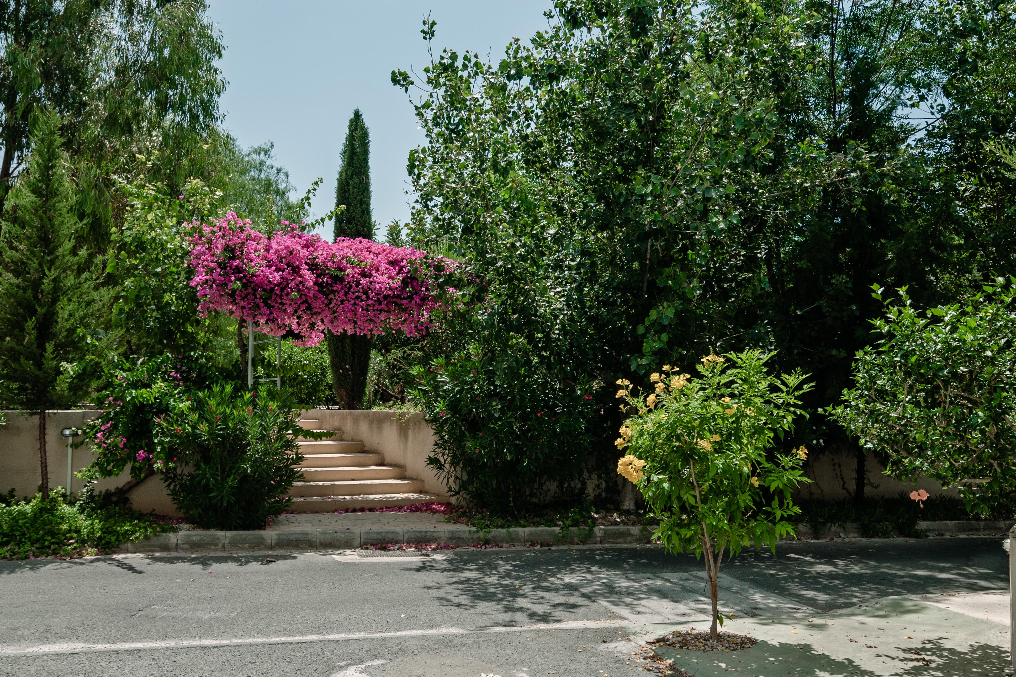 Artemis Cynthia Complex Apartman Paphos Kültér fotó